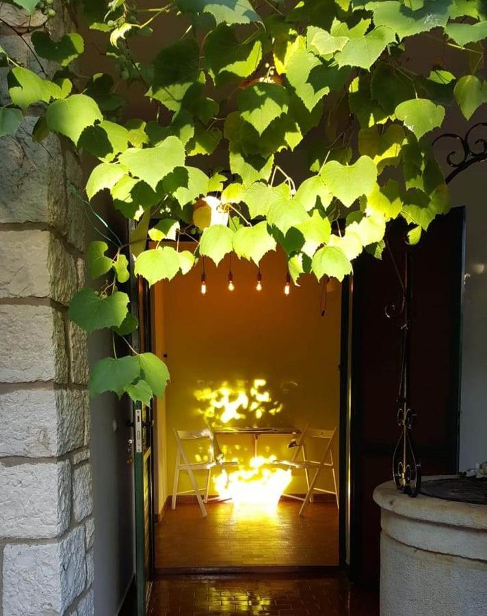 Csipak * Rovinj