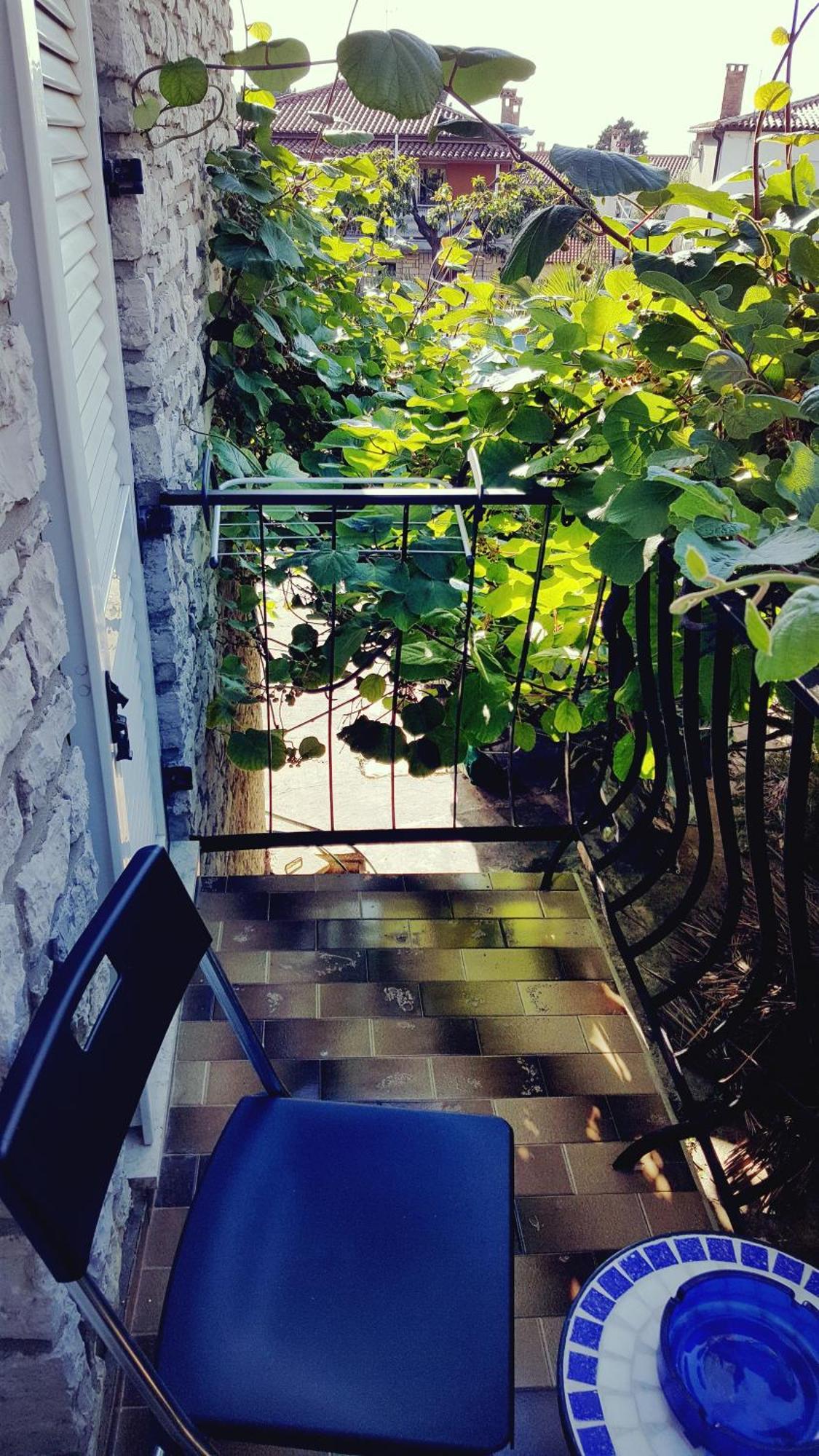 Csipak * Rovinj