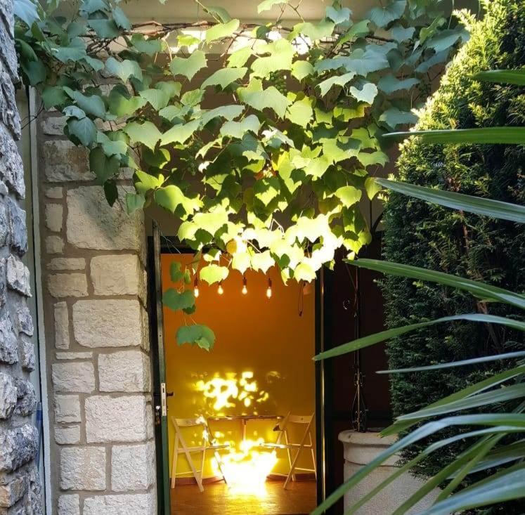 Csipak * Rovinj